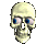 eye_skull.gif (5859 bytes)